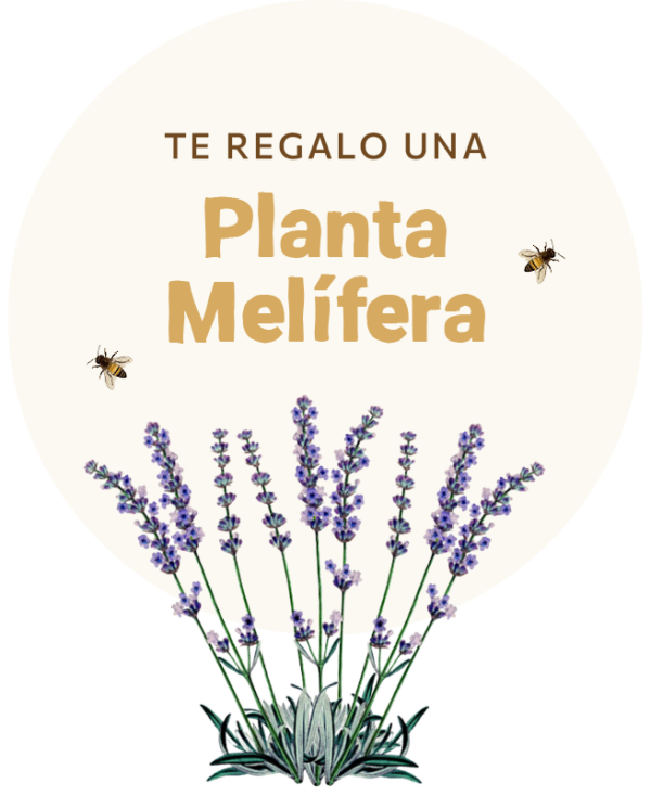 Planta Melífera